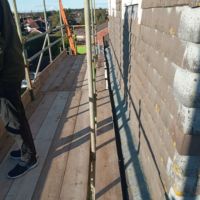 Liverpool Cathedral: Bee hive removal from a tree